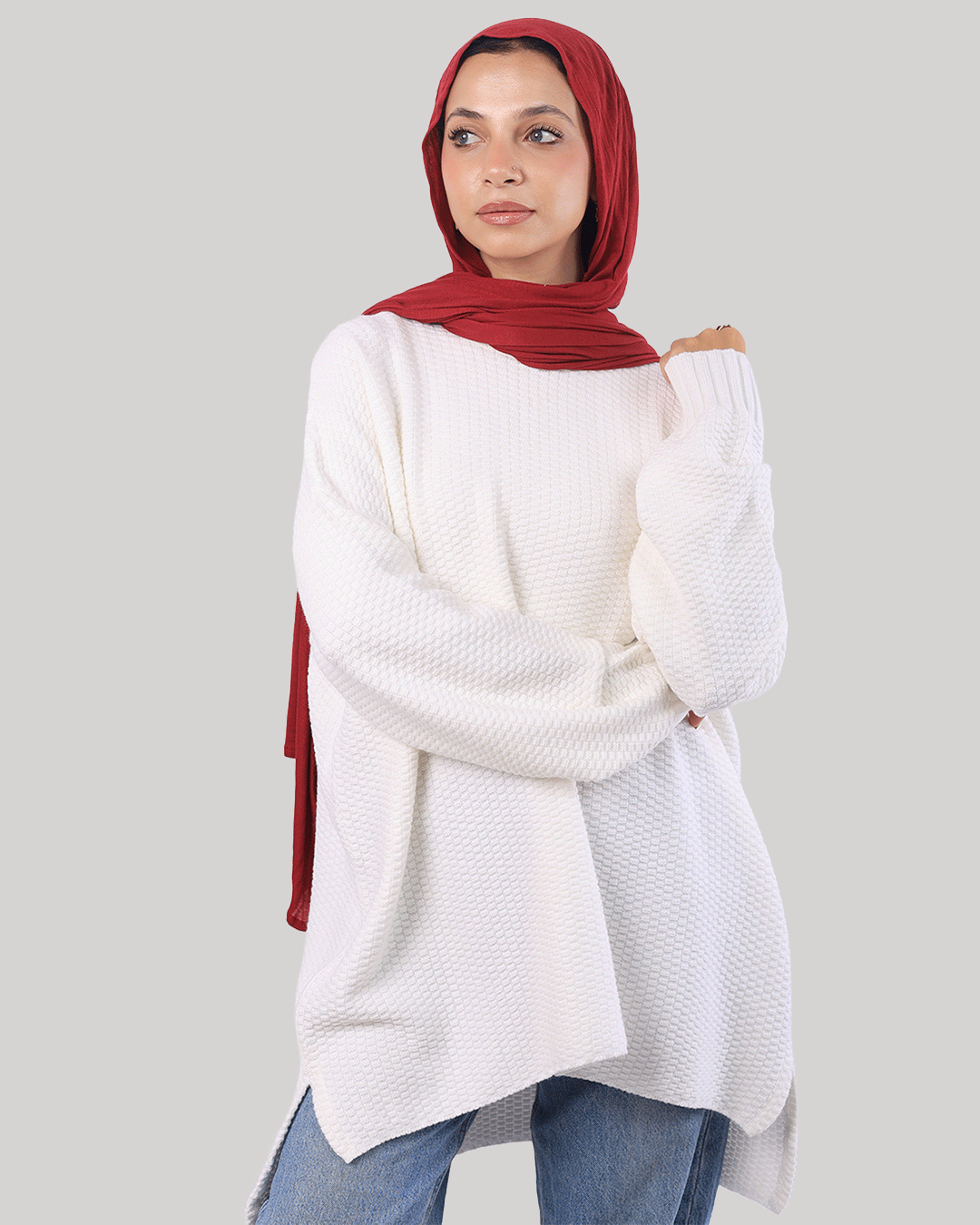 Ant Pullover